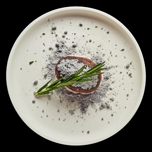 dish
