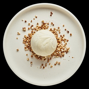 dish